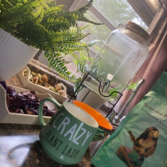 Mug-Crazy Plant Lady - Picture 3 of 3